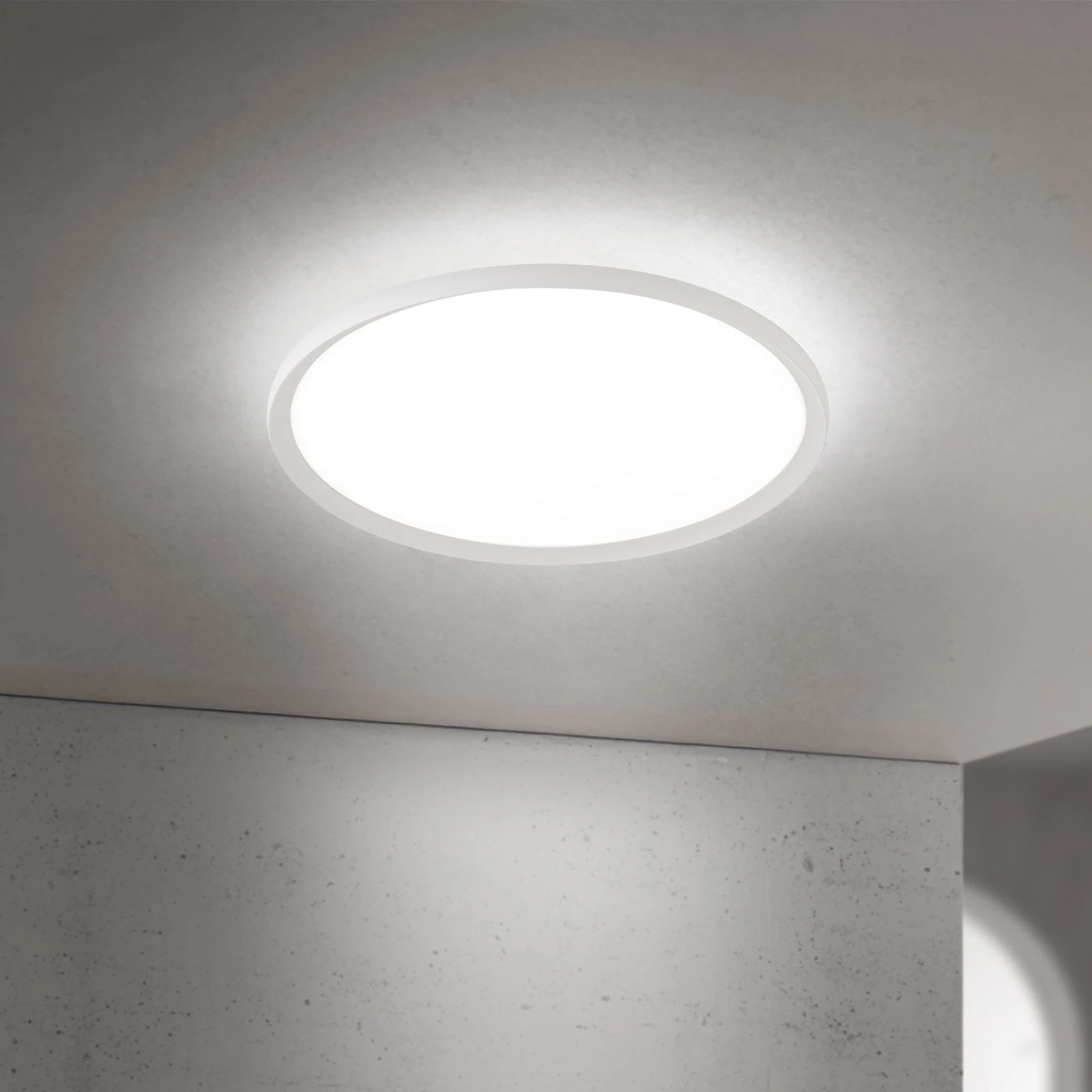 LED plafonska lampa KANT, Ø 60 cm, bela